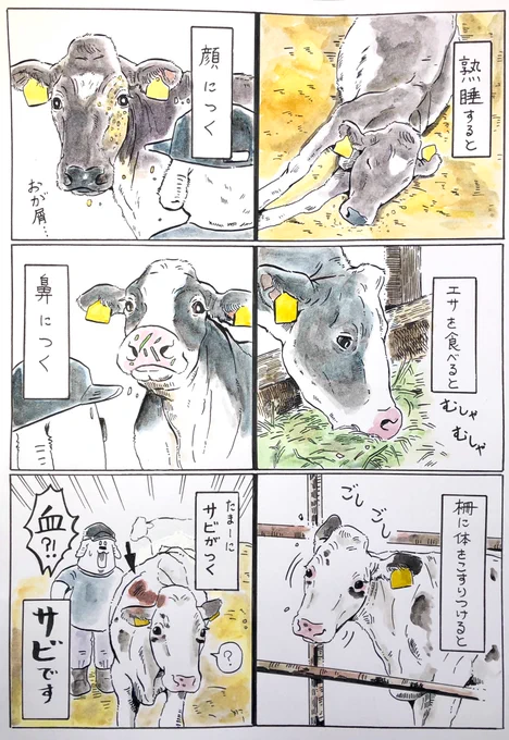 仕事終わってせっせと漫画を描いて完成して読み直してこりゃダメだって没にして…

自分でも結局何がしたかったのかよく分からないけどとりあえず今はメロンが食べたい。 