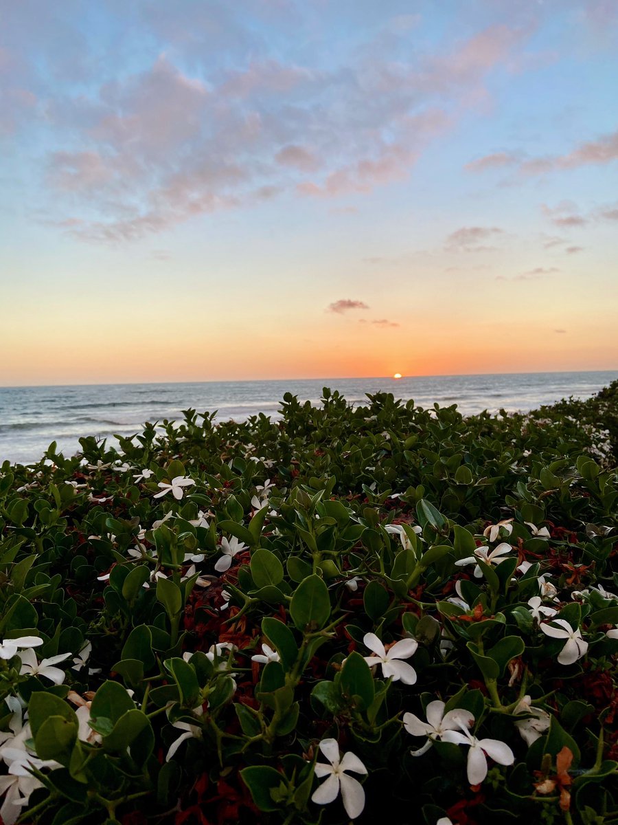 deBruinDane's tweet photo. More of our evening. 🌅 https://t.co/qW4d42ARdW