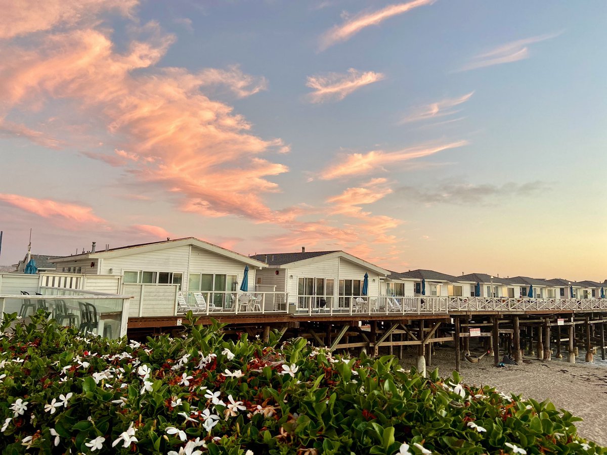 deBruinDane's tweet photo. More of our evening. 🌅 https://t.co/qW4d42ARdW