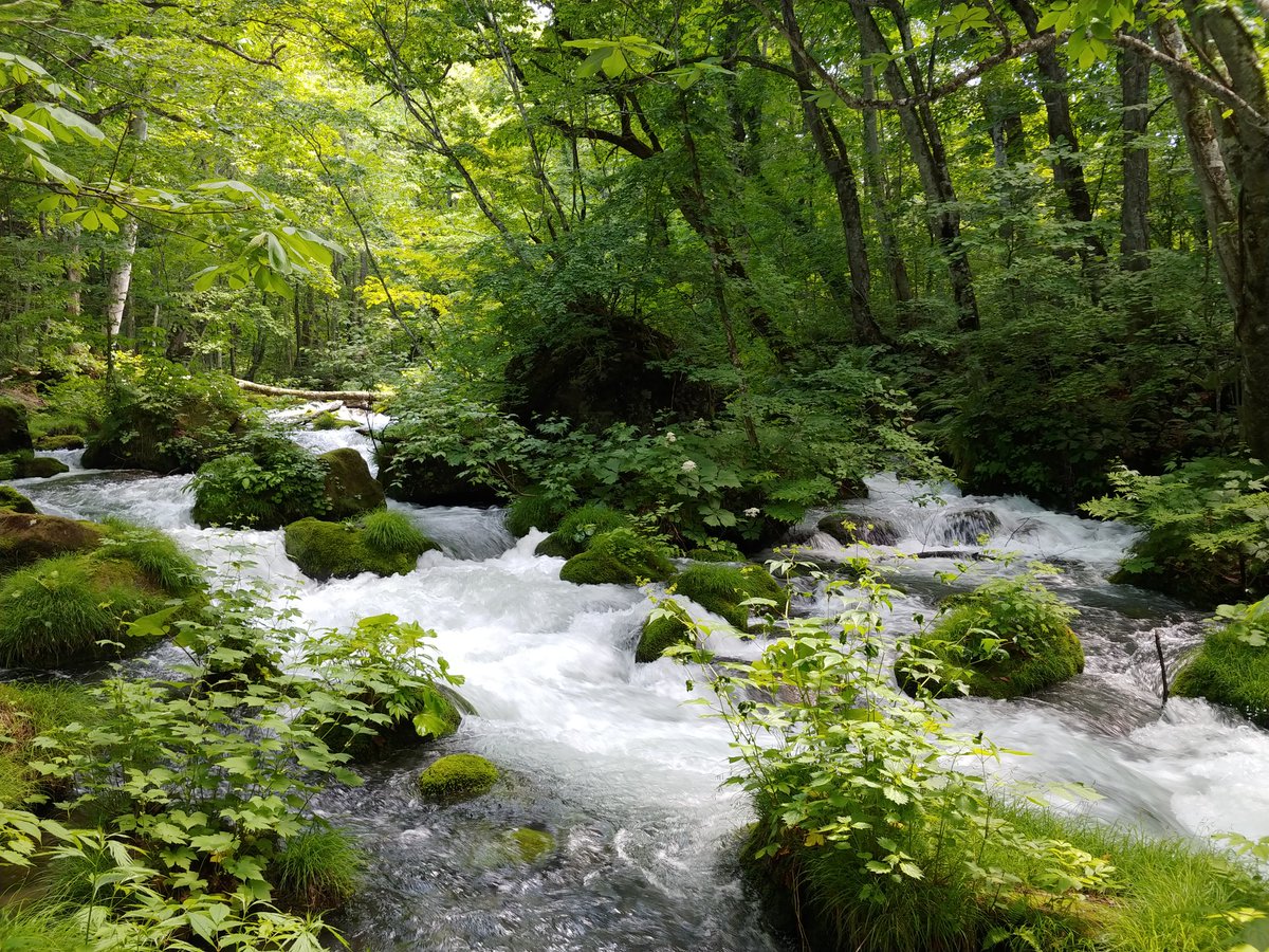 ねね❖保護猫暮らし FF14🔪ドラ10 tweet media