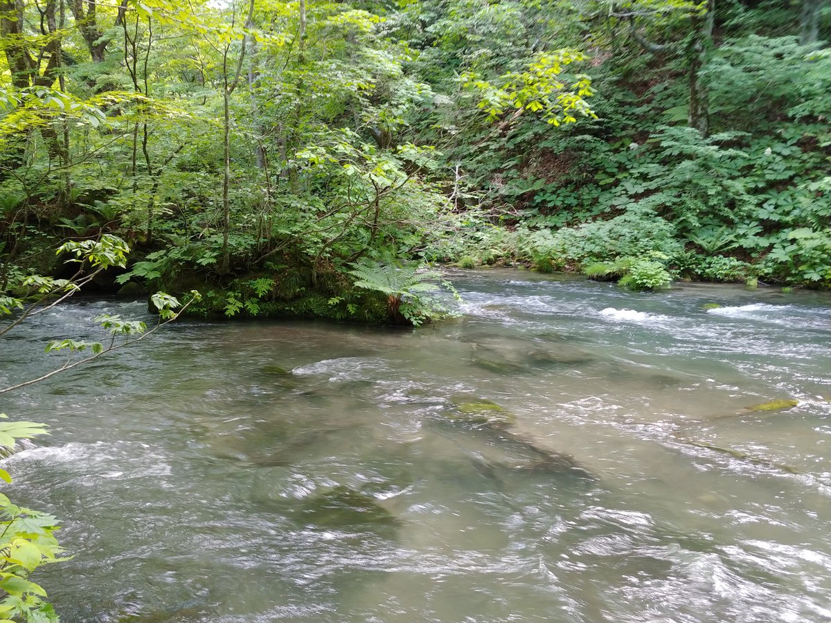 ねね❖保護猫暮らし FF14🔪ドラ10 tweet media