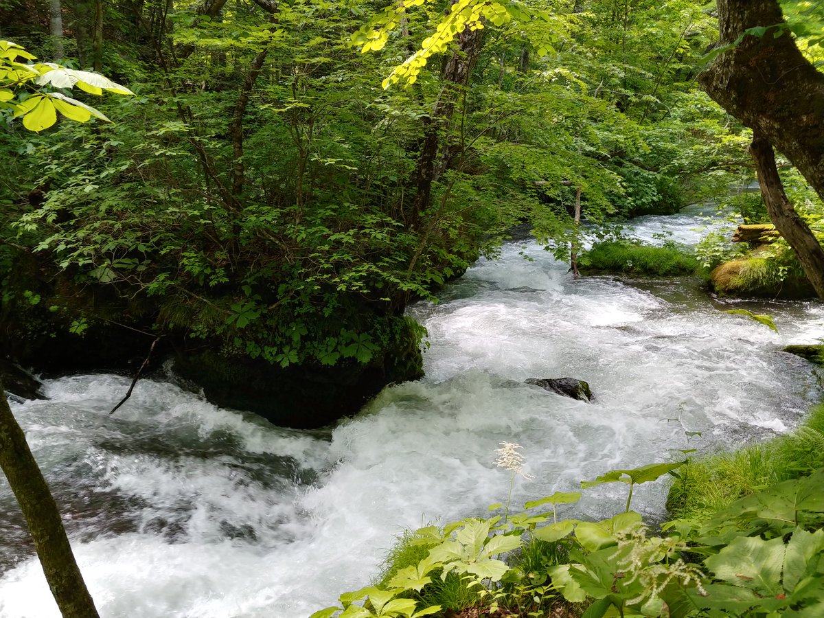 ねね❖保護猫暮らし FF14🔪ドラ10 tweet media