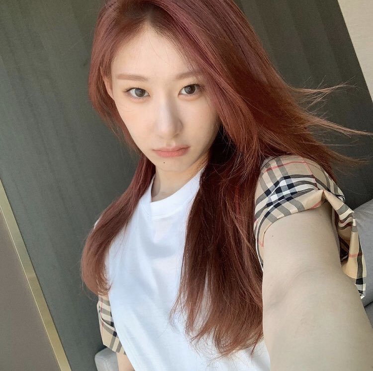chaerpic's tweet photo. https://t.co/qlQkB4iOQq