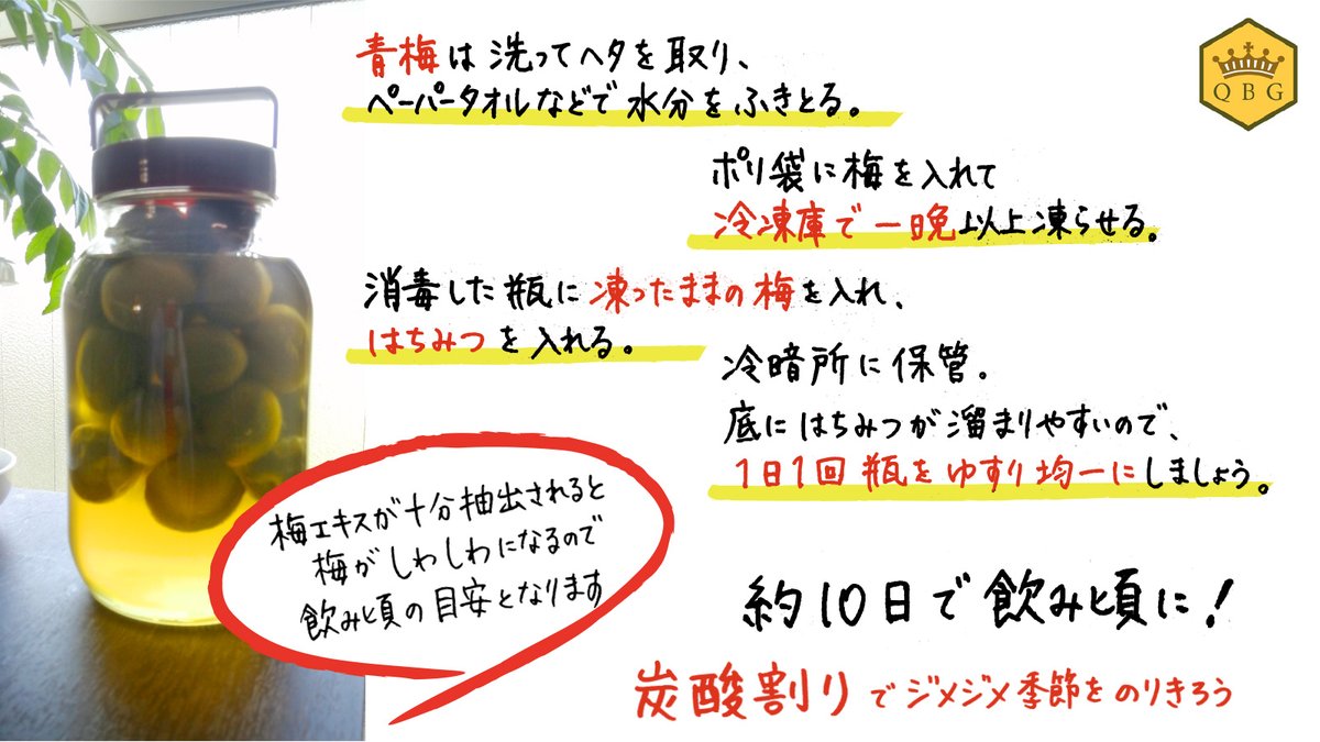 はちみつ専門店クインビーガーデン公式 創業90周年 はちみつ専門店 社員おすすめレシピ ジメジメ季節にスッキリ爽やか はちみつ梅シロップ を漬けてみよう 素材は青梅とはちみつだけ 10日ほど漬け込んで出来上がり 季節の変わり目で体力が