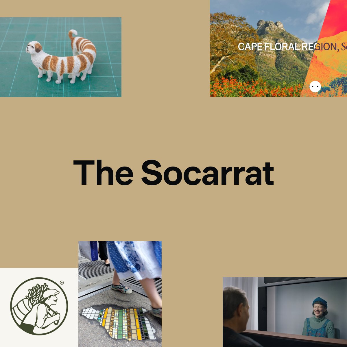 We dropped the first issue of our newsletter The Socarrat in your inbox! 📥 Check it out and subscribe if you haven't already to receive the next one in July. 💙
➡️ gustastud.io/the-socarrat/i…