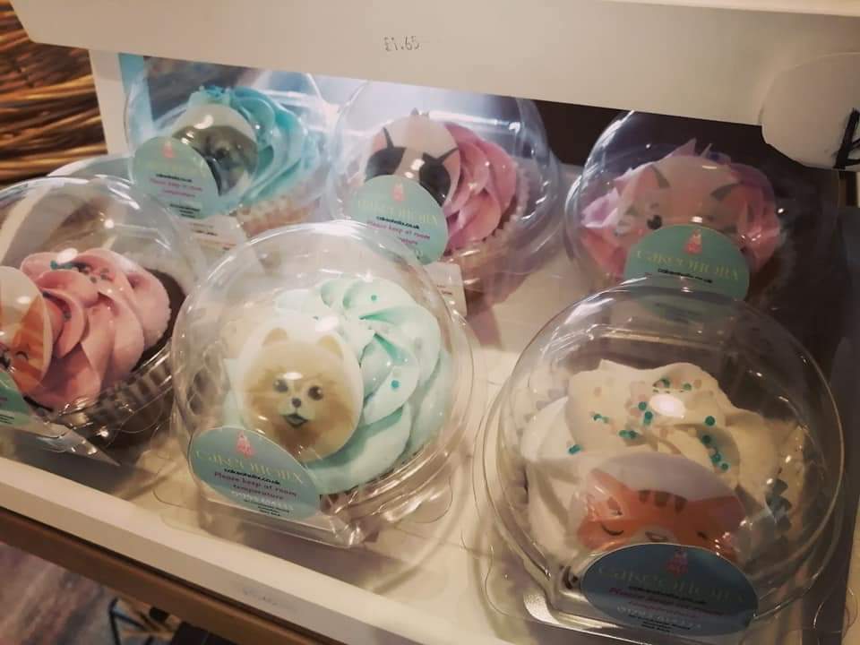 Cats and dogs cupcakes from <a href="/cakeoholix/">Cakeoholix</a> this week! Chocolate, vanilla, lemon and gluten free chocolate available 👇

#cats #dogs #shoplocal