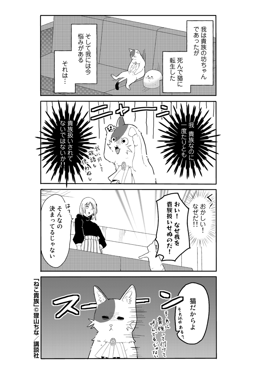 貴族が猫に転生した話⑧ #ねこ貴族 #狸山ちな #異世界転生 #猫