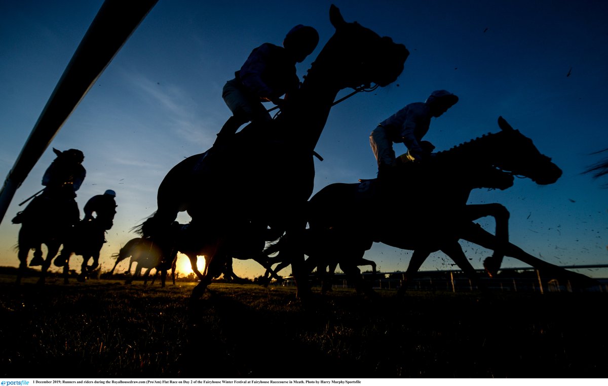 Weekly Racing News Chris Hayes wins with He Knows No Fear at Leopardstown again