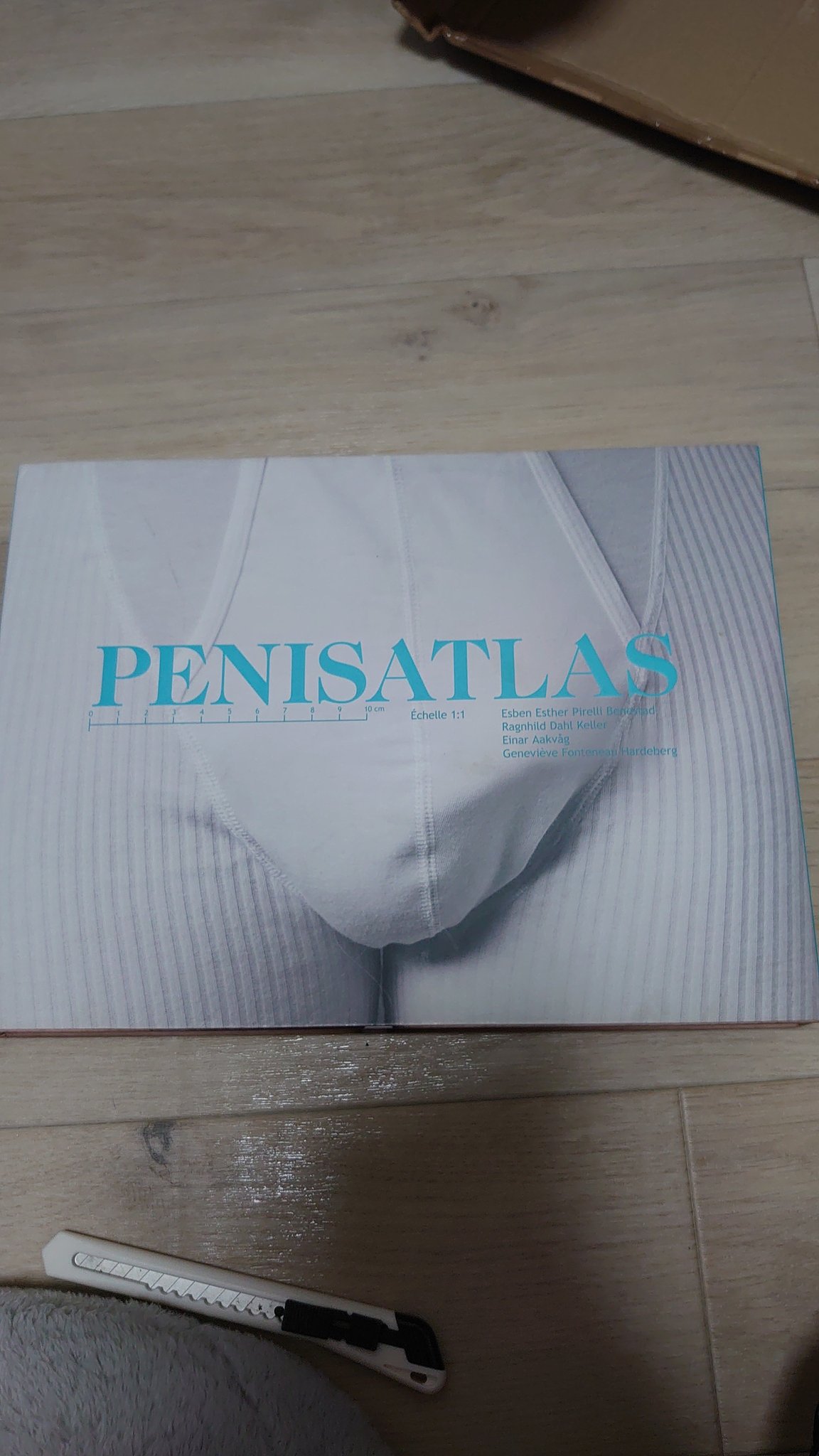 ペニスアトラス PENISATLAS