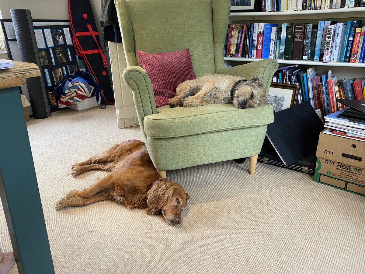 Just remembered why WHF can be so nice.