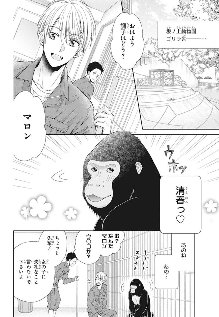 🦍本日発売LaLaDX7月号🐾

「ゴリ❤ラブ」by #大宮あやね

とある動物園🐾
飼育員・清春とゴリラのマロンは相思相愛💕
しかし清春狙いの女子大生みちるが現れて…!?
マロンとみちるの恋のバトルが始まる--⚔️

三角関係📐ズーロマンス40P

#ゴリラブ 