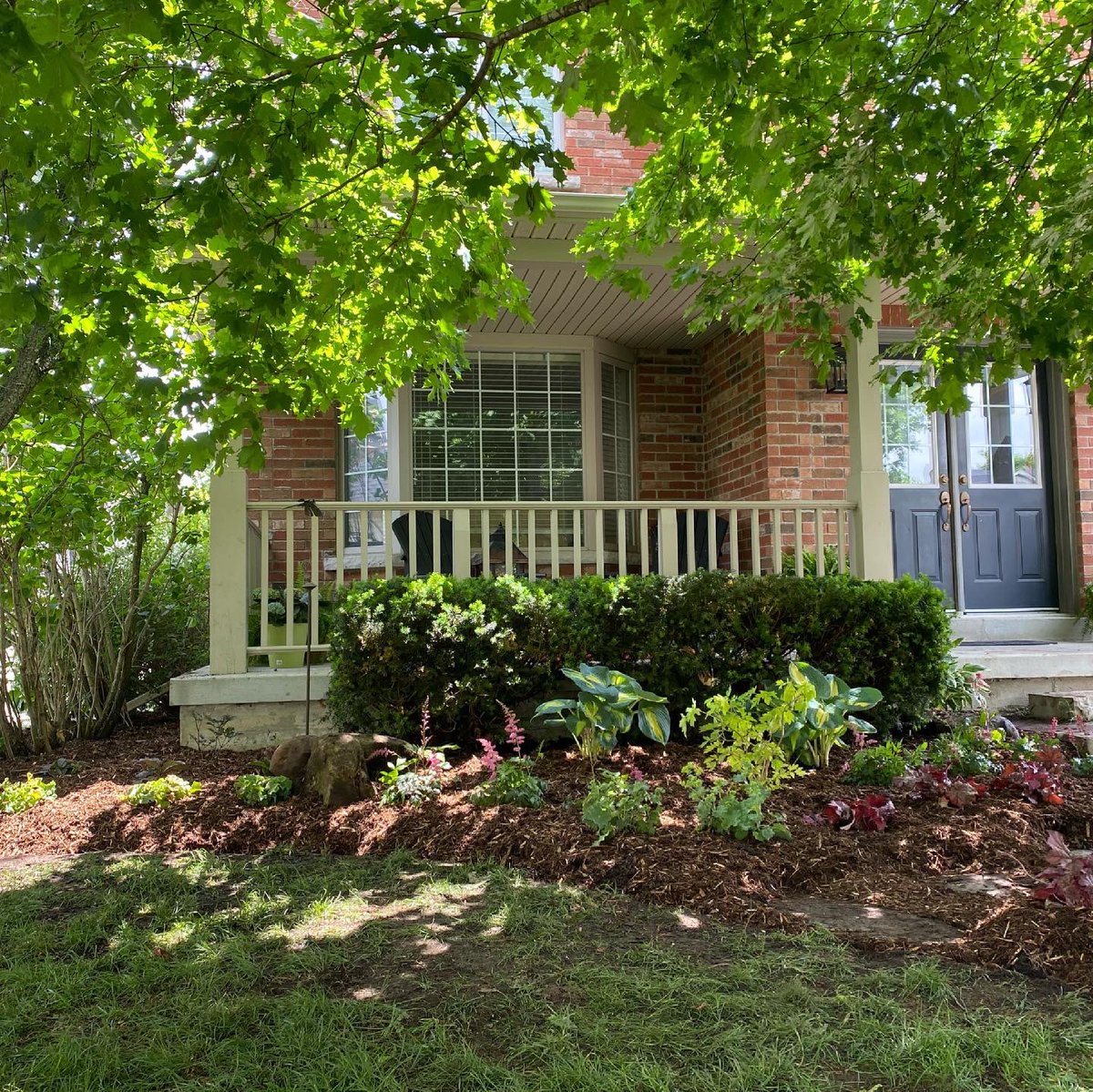 AngiePathways's tweet photo. Front yard refresh! Expanding the front garden along the walkway created more interest and also hid the mess that wouldn’t grown under a Norway maple. This garden is Tiva approved ✔️ complete with a cut through to get to her doggy friends house. 

#gardenrenovation https://t.co/NWiRf1ZD2e
