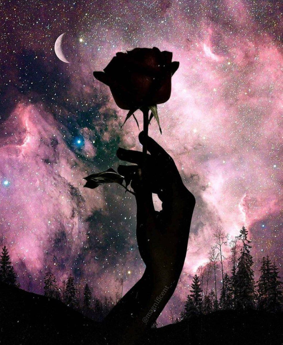 حصدتُ مايكفي من سوء اختياراتي، اللهم اختر لي ولاتخيرني."..🌿