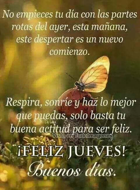 Jueves de TBT 
otro día he despertado 
y aquí vamos otra vez 
agradecidos por la vida 
Dios concede lo que pidas 
solo hay que tener paciencia 
Buenos Días mi gente querida
y a cuidarnos con conciencia 

#BuenosDíasMundo 
#FelizJueves 
  Para Todos/as