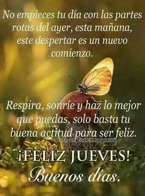 Jueves de TBT otro día he despertado y aquí vamos otra vez agradecidos por la vida Dios concede lo que pidas solo hay que tener paciencia Buenos Días mi gente querida y a cuidarnos con conciencia #BuenosDíasMundo #FelizJueves Para Todos/as