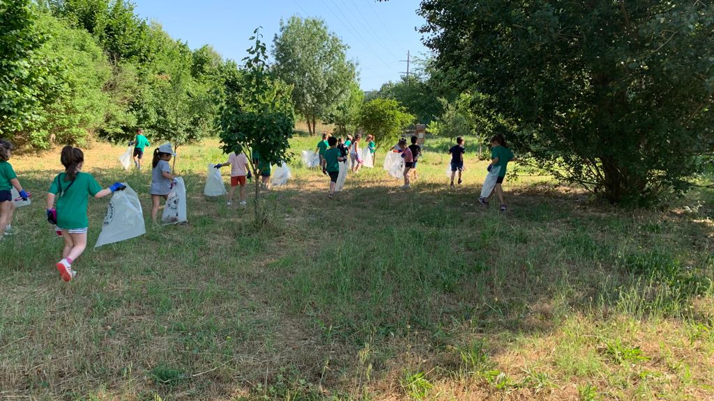 AjRubiNET's tweet photo. Els grups de P5 han fet una gran feina aquest matí! Al Torrent dels Alous, han recollit allò que trobaven per classificar-ho als contenidors i transformar aquests materials en recursos.💚Gràcies Escola 25 de setembre per ser escola Caçadora de Trastets #dmma21 #eduambiental https://t.co/hMRcjKDR7a