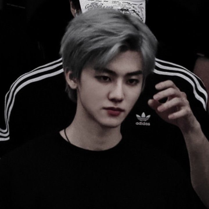 พจ♡ ⁺ tweet media