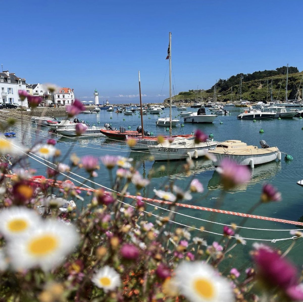 MoussetWendy's tweet image. Belle-Île-en-Mer, Morbihan 
#Bretagne 

📸 : Yann LE GALLIC ©