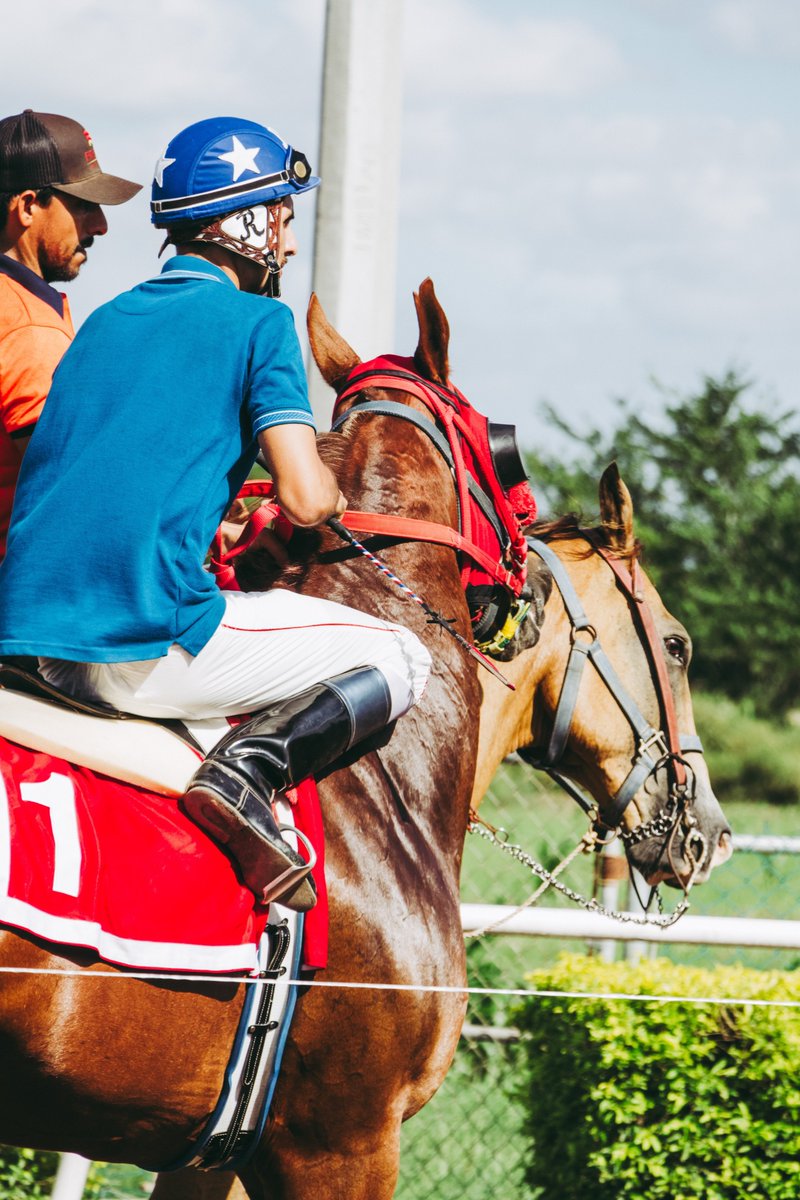 As we've shown in our scoping review, research modeling spectator demand for niche sports is still scarce...!

Thus, it's great to see that Buraimo and his co-authors have just published a study on #horseracing attendances.

Here's the link: bit.ly/3v47AMA! #EconTwitter