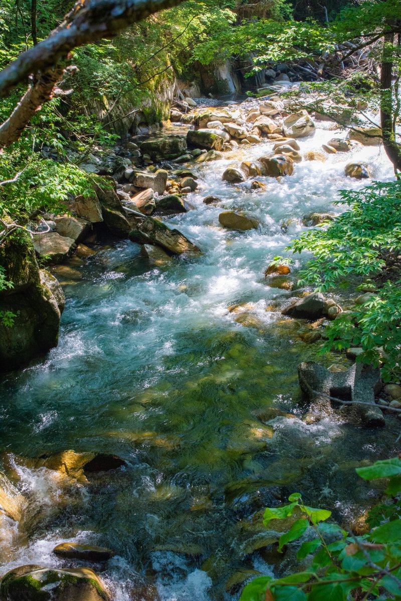 長野県烏川渓谷緑地環境管理事務所 N Karasugawa Twitter 長野県烏川渓谷緑地環境管理事務所 N Karasugawa Twitter