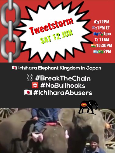 ⛓🇯🇵⛓🇯🇵⛓🇯🇵⛓🇯🇵⛓🇯🇵⛓🇯🇵
🇯🇵TWEETSTORM🇯🇵SAT 12 JUN🇯🇵
⛓🇯🇵⛓🇯🇵⛓🇯🇵⛓🇯🇵⛓🇯🇵⛓🇯🇵
#IchiharaElephantKingdom 
#IchiharaAbusers 😨
#BreakTheChain ⛓
#CaptivityKills🖤
#NoBullhooks🔧
Here are the tweetsheets:

bit.ly/2T9zPfy⬅️

🇯🇵12PM 
🇺🇸1PM ET  
🇪🇺🇳🇦7pm
🇨🇦11AM 
🇮🇳10:30PM 
🇧🇷2PM