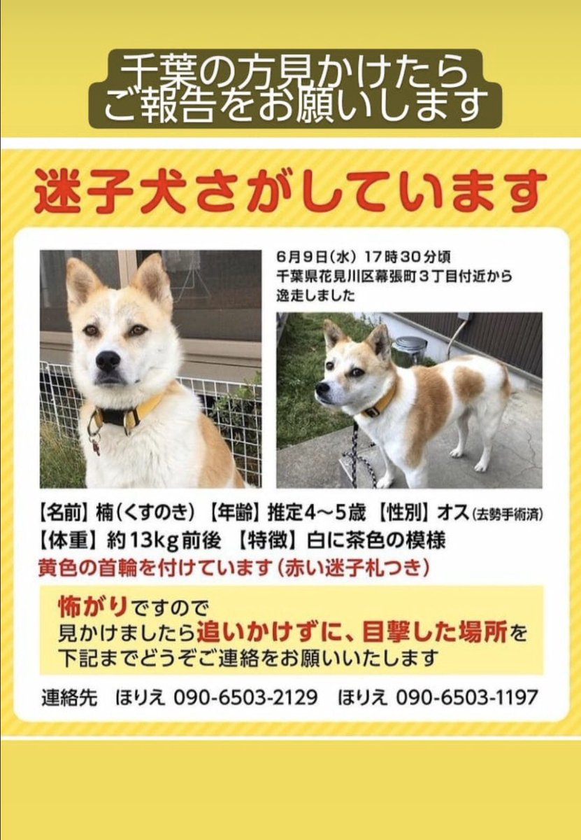 xxxPinzoroxxx's tweet image. 知り合いが探してます。見つかりますように🙏