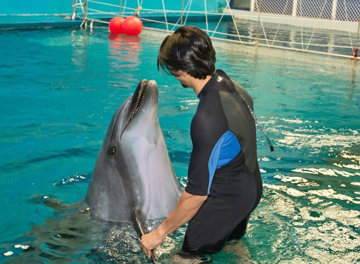 DipanjanaSaha on Twitter: "@Mr_Faisal_S07 Lucky dolphin 🤧😝" / Twitter