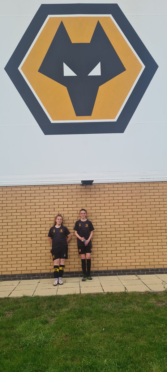 Mark Willow tweet media