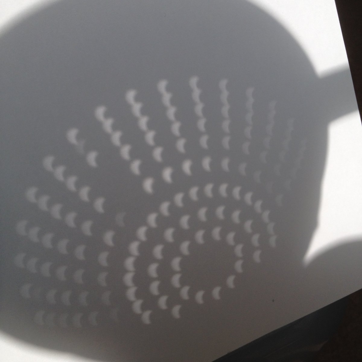 DrColinForster's tweet photo. Hoping for a break in the cloud to see the partial eclipse of the sun this morning.  Pinhole images of the sun can be seen using a colander or by looking under a tree, where natural pinholes occur in the spaces between leaves.  Photos from the partial solar eclipse in 2015. https://t.co/QGDfowjIBa