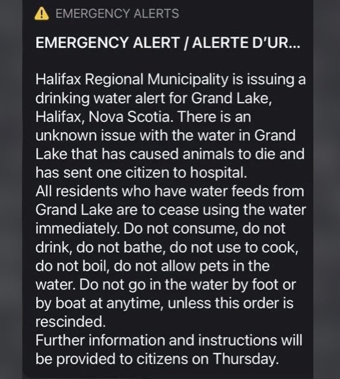 Brutal waking up in the middle of the night to an emergency alert but so grateful right now that we are on a well and that I decided against taking my girl for a run in Oakfield Park where she 100% would have gotten in the water. 🥺