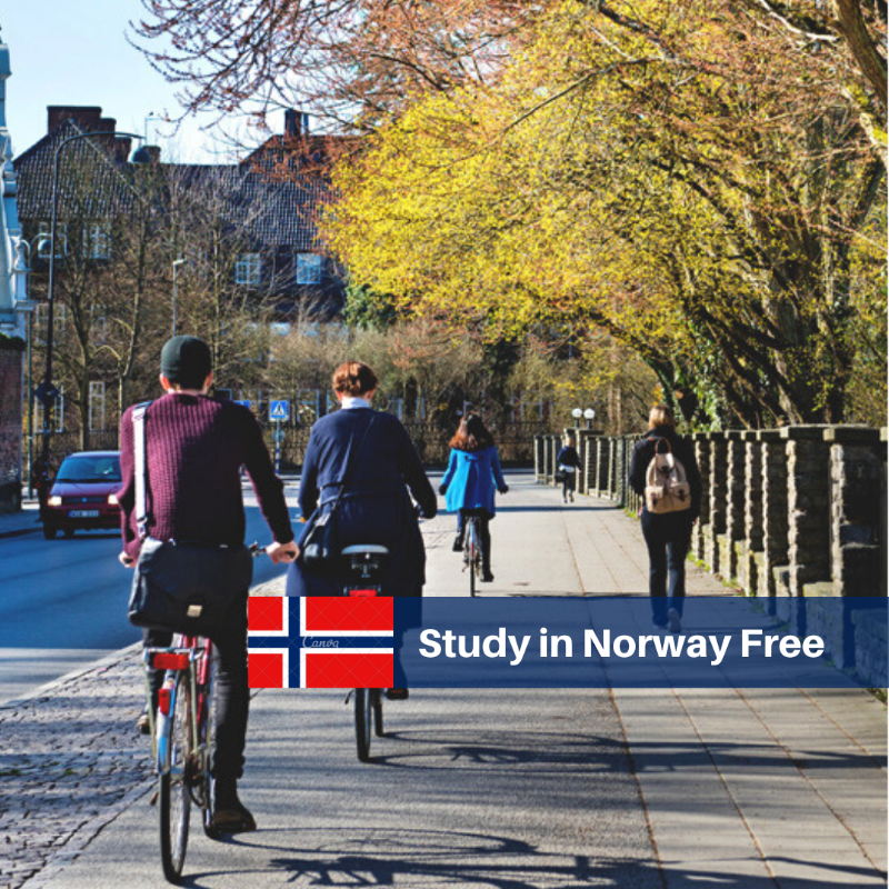 SEGabroad's tweet photo. Tuition-free, scholarships or cheap universities. Discover your opportunity to study abroad today - https://t.co/ebRNQ81zgx