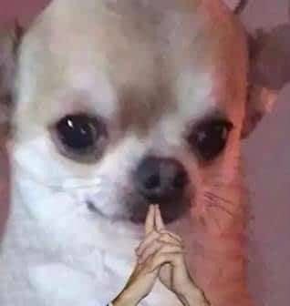 ก็ได้ จะทำดิสให้กับคนที่มารีทวิต