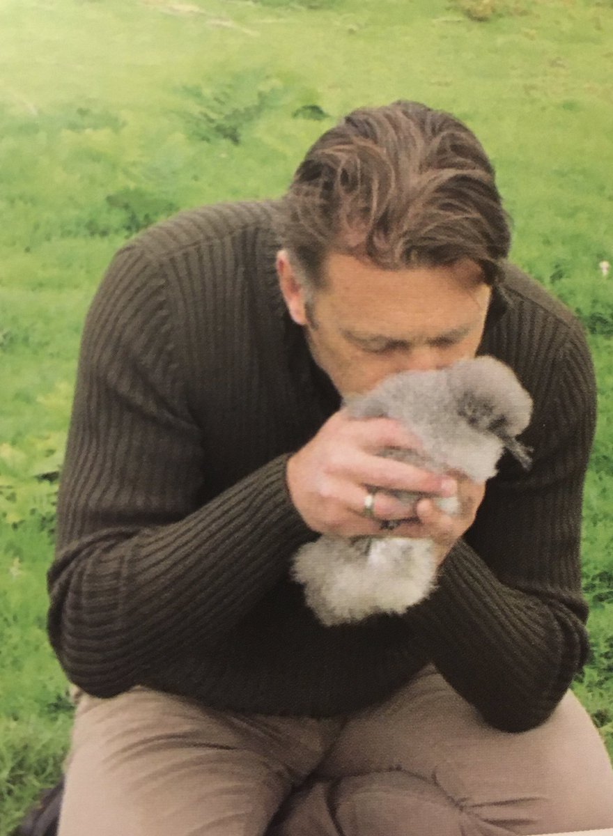 Copeland Bird Obs. tweet media