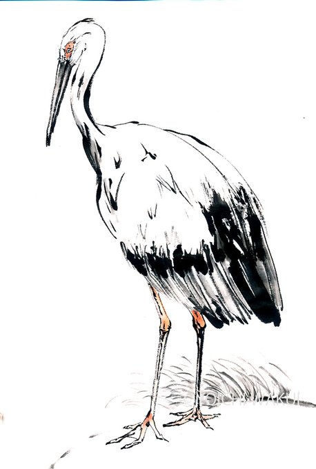 コウノトリのtwitterイラスト検索結果 古い順