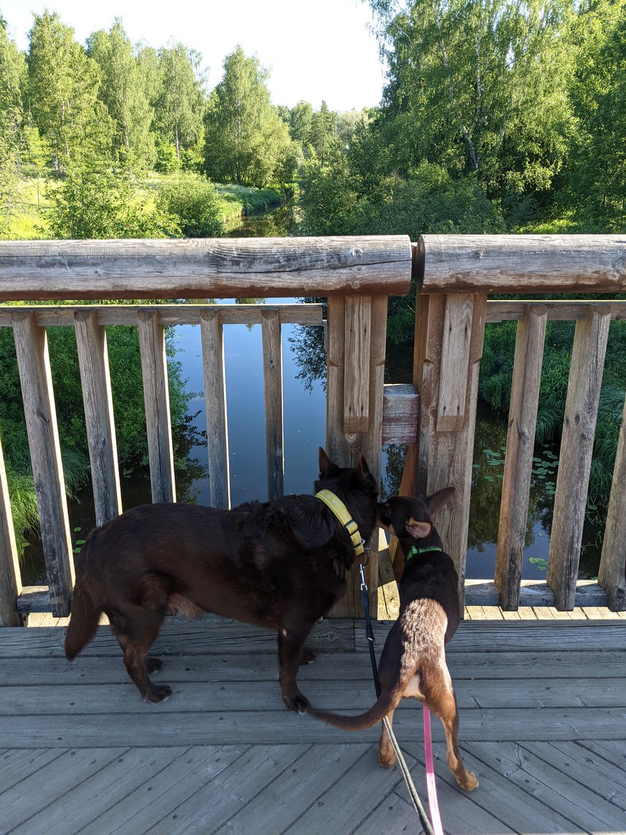 1-2-1 in sunny weather. 😎

The little guy got feedback for being a bit over excited of plants and gardening at the office...