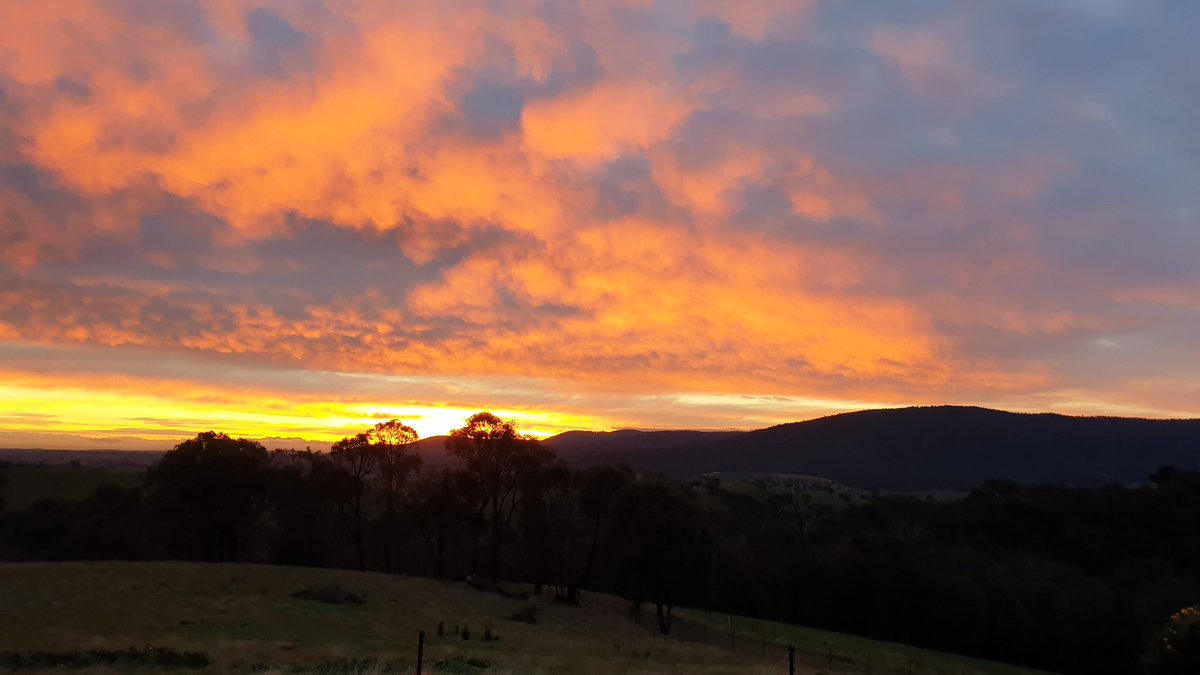 Melbamandy's tweet photo. Shutting down the final day of #melbournelockdown4 Backyard view of Kinglake National Park from St Andrews VIC. @PaulHiggins @abcnews https://t.co/ha5f0AVm8C