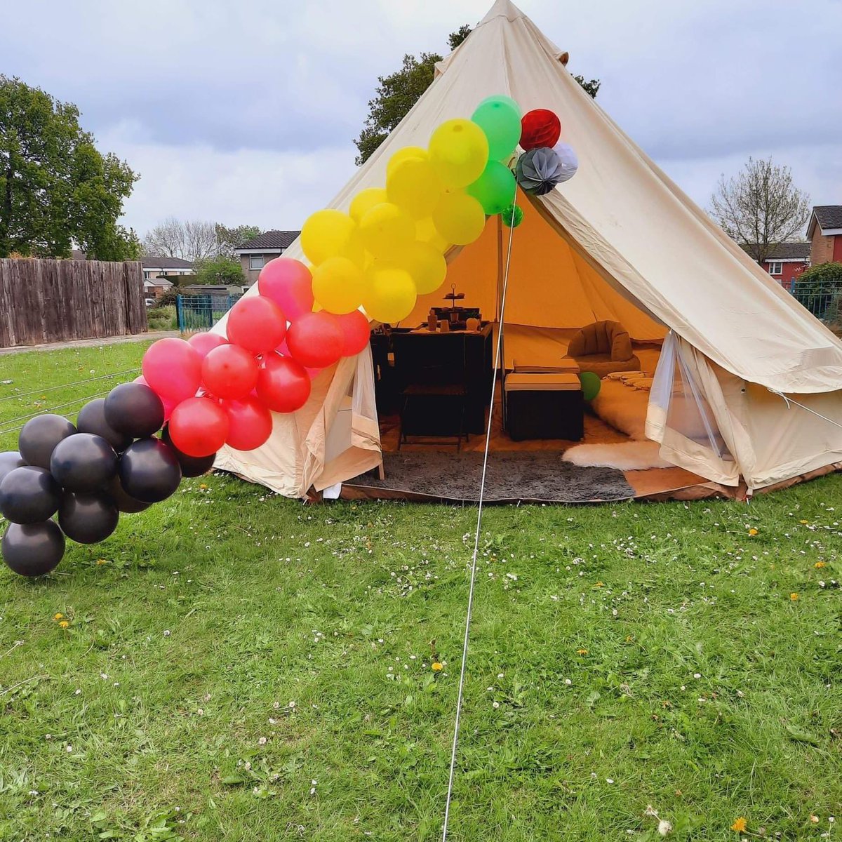 Wild Intervention tweet media