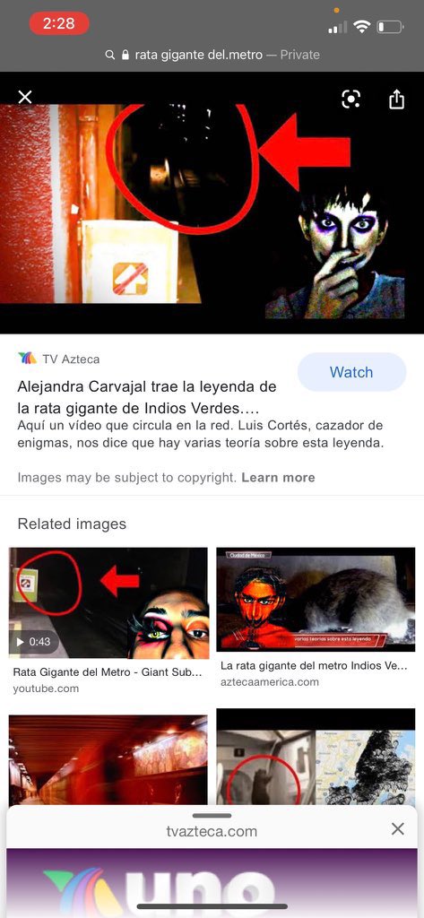 richiquito on Twitter: richiquito on Twitter:
