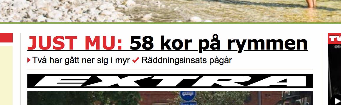 Chris Smedbakken tweet media