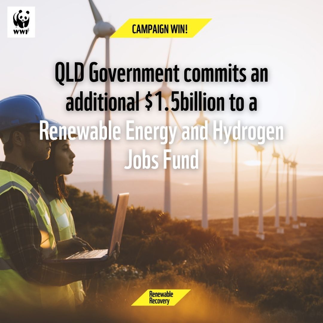BREAKING: The QLD government announced this afternoon that it will be investing a further $1.5 billion in the Renewable Energy and Hydrogen Jobs Fund. Together we can make Australia a renewable energy superpower! #UnitedWeShine #RenewablesNation