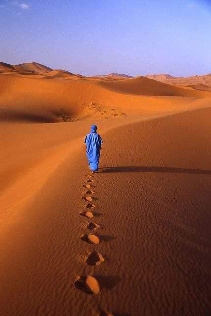 OblTherese's tweet photo. Perciò, ecco, la attirerò a me,
la condurrò nel deserto
e parlerò al suo cuore.
Osea 2,16 #Jesus #bellezza #bibbia https://t.co/FGTROQTgk8