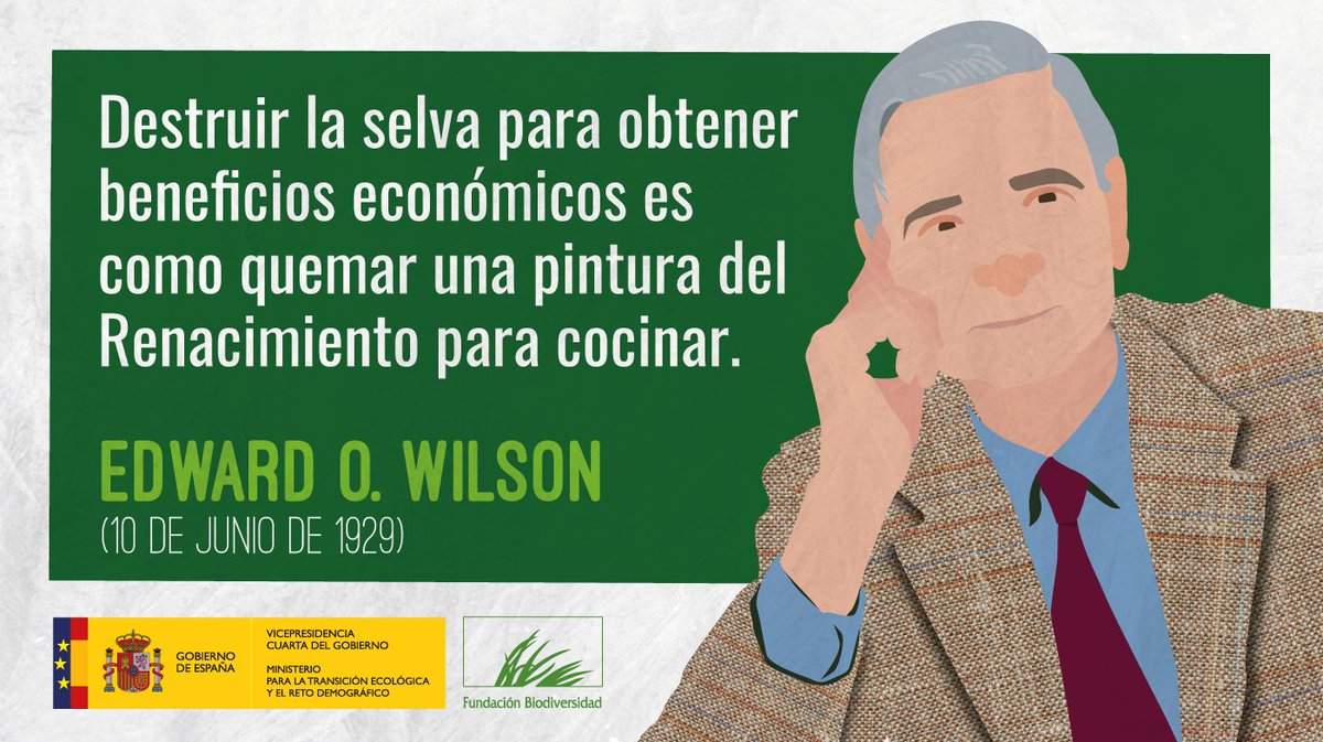 FBiodiversidad's tweet photo. Hoy cumple 9⃣2⃣ años el entomólogo y biólogo estadounidense Edward O. Wilson, padre del término #biodiversidad.

¡Muchas felicidades! 🎂 https://t.co/LwAlbjEnkQ