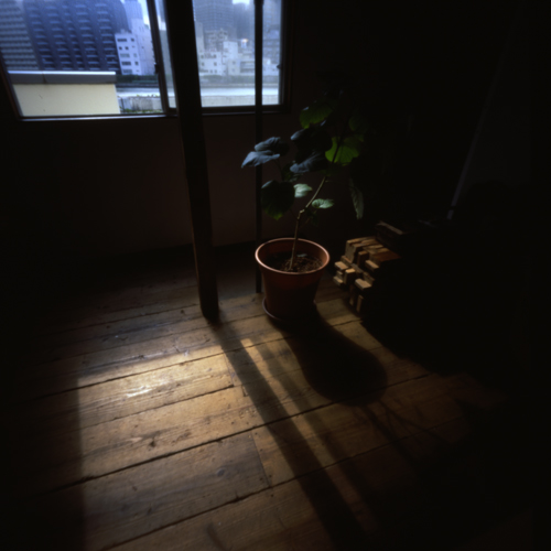 sikiko's tweet photo. 過去作品から毎日1枚の #針穴写真 をあげるチャレンジ61日目。
今はない建物で過ごした時間。
#ピンホール写真
#pinhole
#pinholephoto
#pinholephotography
#lensless
#lenslessphotography
#6x6format
#120film
#midiumformat
#fujifilm
#velvia50
#filmisnotdead
#1日1枚針穴写真 https://t.co/UYJ0bLcAXB