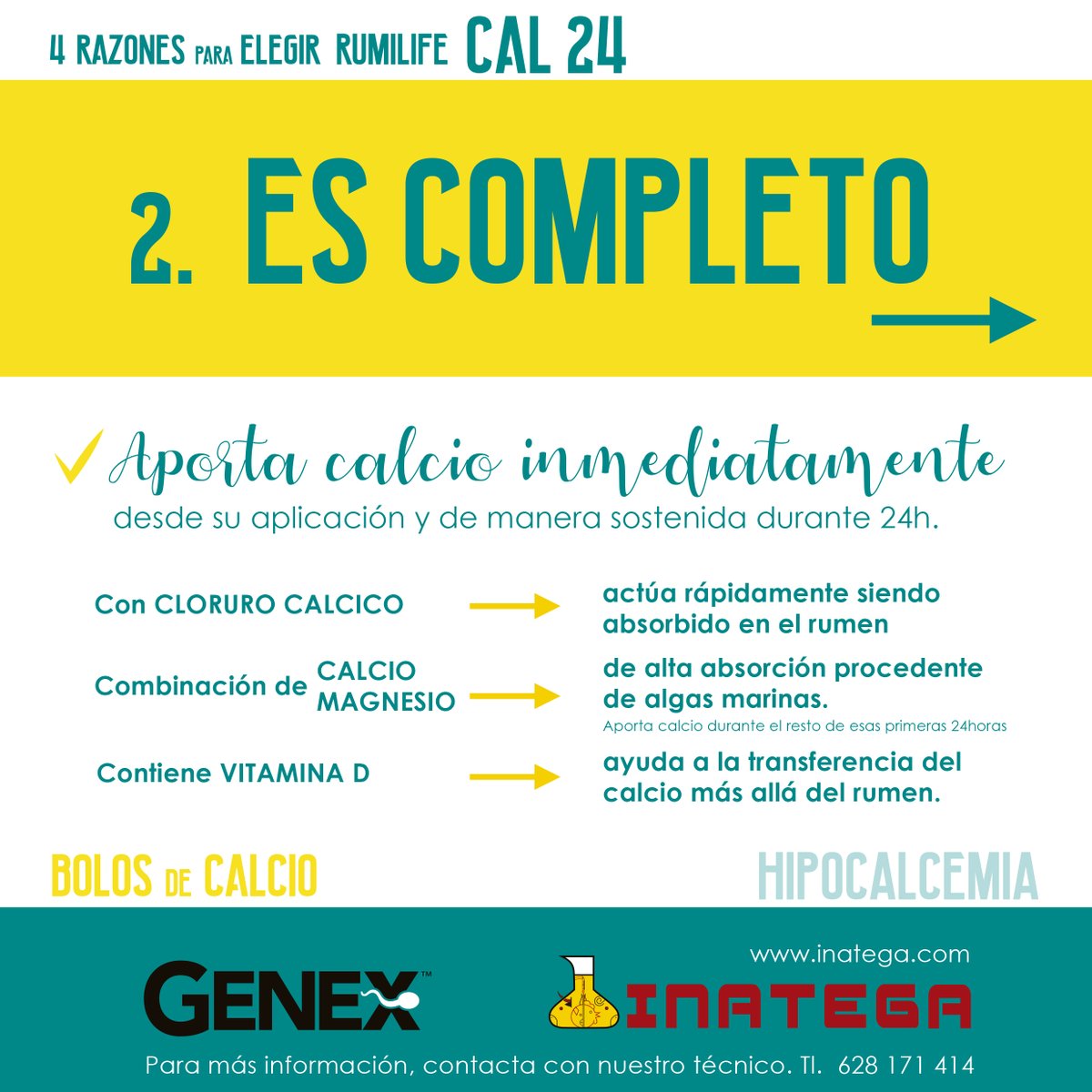 INATEGA's tweet photo. #Vacunodeleche #Fiebreleche #Hipocalcemia #bolosdecalcio
Rumilife Cal24, bolos de calcio necesarios para evitar la hipocalcemia o fiebre de la leche por 4 razones: Es simple, completo, único y rentable.
🐮🐮🐮🐮🥛🥛🥛🥛 https://t.co/qmTyYTLGBi
