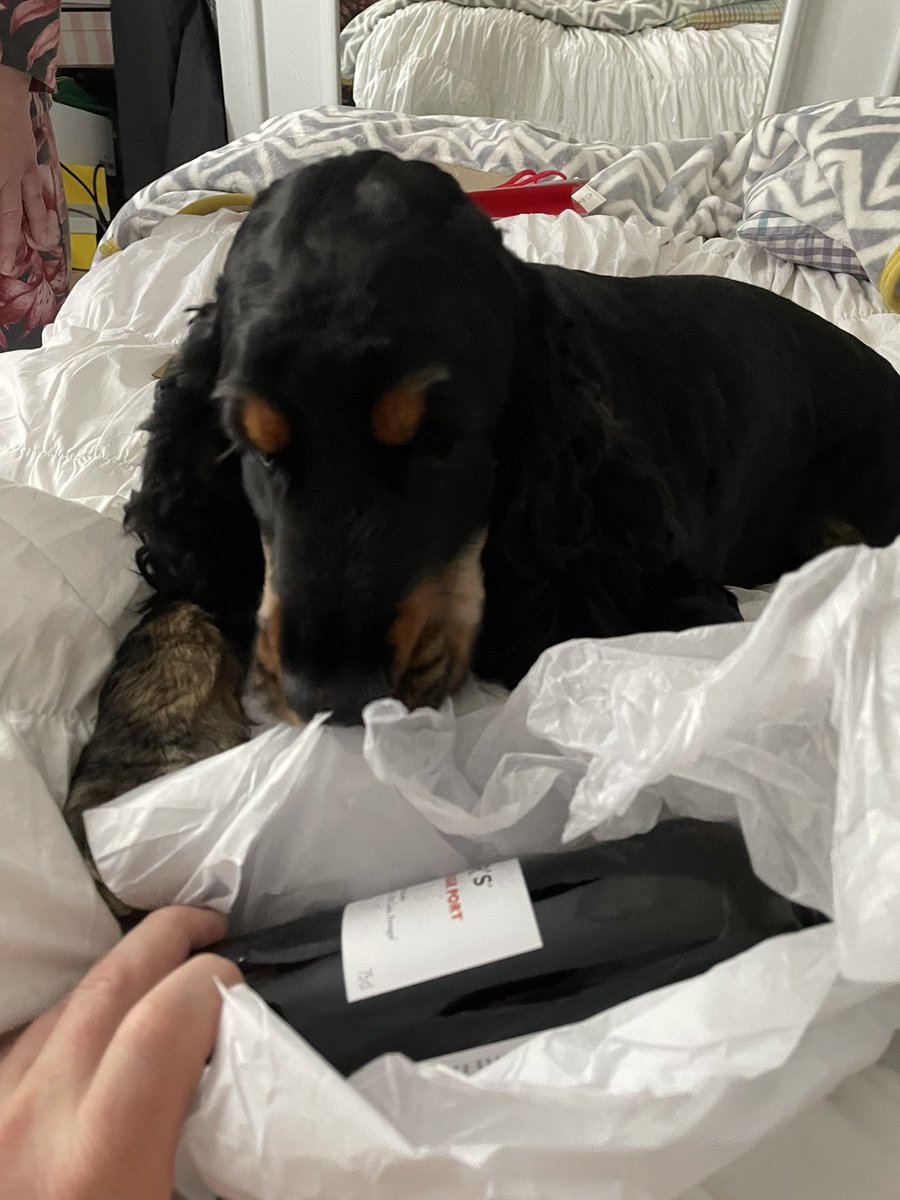 Stephen Davison tweet media