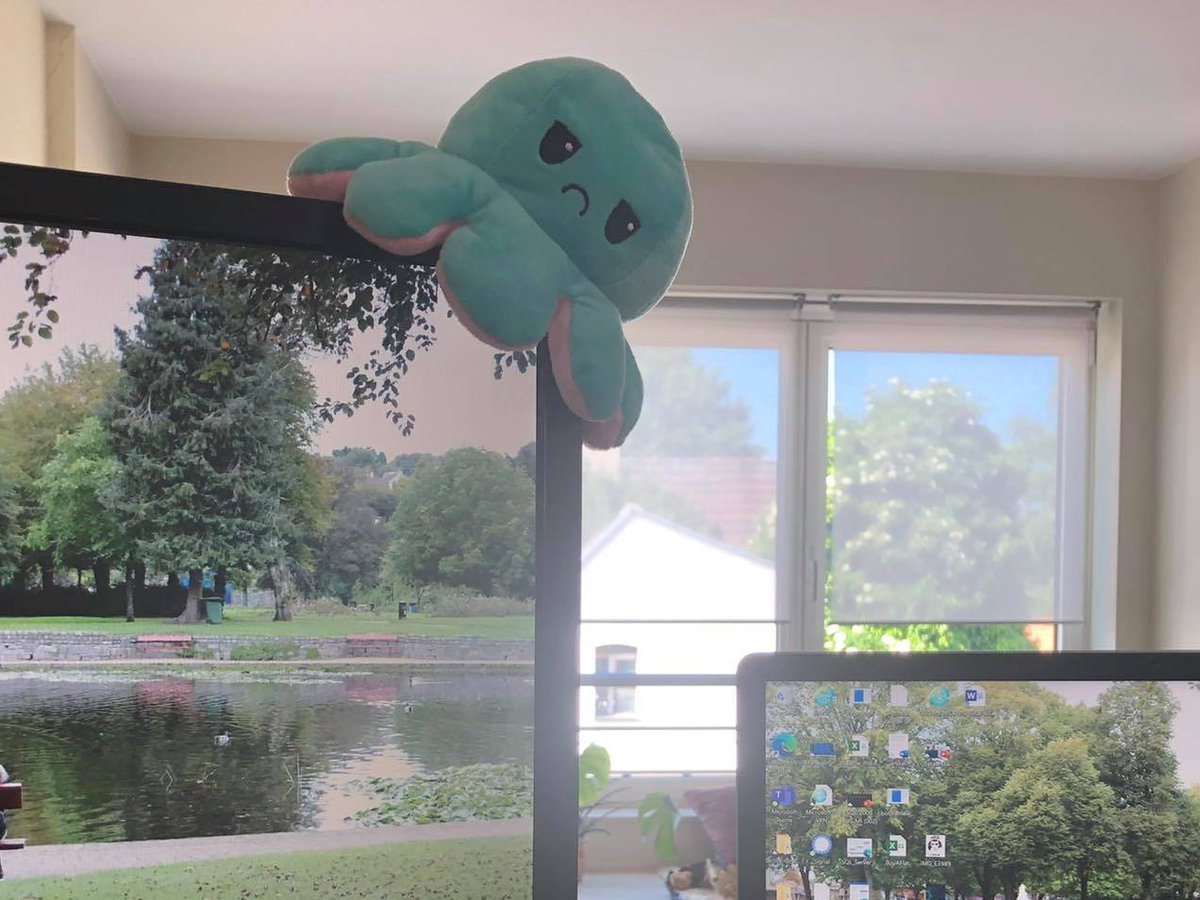 code_of_energy's tweet image. Look at who is joining me for work today: The mascot of #ContributingToday 😍🤩 contributing.today