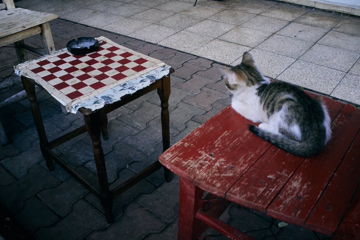 aogihiro's tweet photo. WEEKDAY AFTER LOCKDOWN / PART 2

#streetphotography #streetphotographyinternational #streetphotographer #streetphotographers #streetphotographyturkey #antalya #antalyaturkey #bwphotography #bw #bwstreetphotography #ricoh https://t.co/heJfRJCe0b