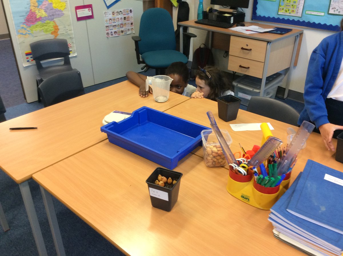BSNJSV's tweet image. #JSVY3 beginning a plant investigation. How much space does an onion need? We must make sure we only change one variable.