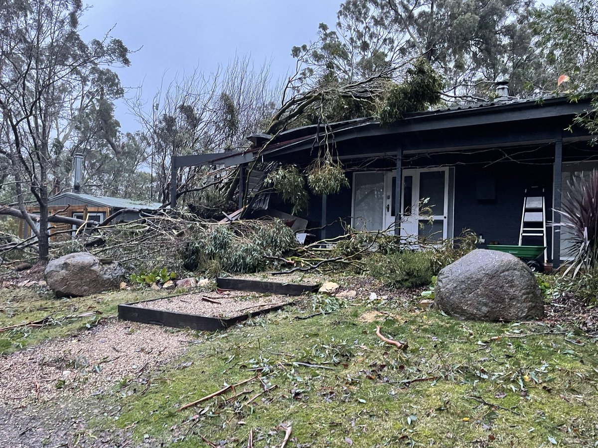 expensivecare's tweet image. Feeling fairly lucky to be alive after 2 giant trees came crashing into our house early this morning in the #vicstorms. It was a long night and it’s been a long day with no power or water. Incredibly grateful to the amazing @vicsesnews volunteers.