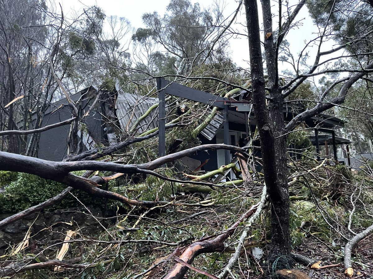 expensivecare's tweet image. Feeling fairly lucky to be alive after 2 giant trees came crashing into our house early this morning in the #vicstorms. It was a long night and it’s been a long day with no power or water. Incredibly grateful to the amazing @vicsesnews volunteers.